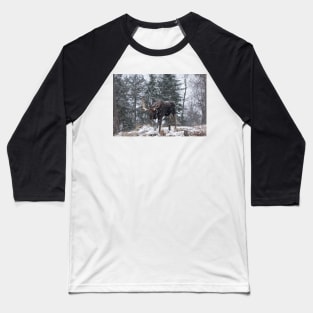 Moose in a snow snow storm Baseball T-Shirt